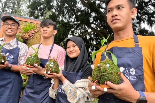 Mengenal Kokedama, seni tanaman hias Jepang di Kebun Raya Cibodas